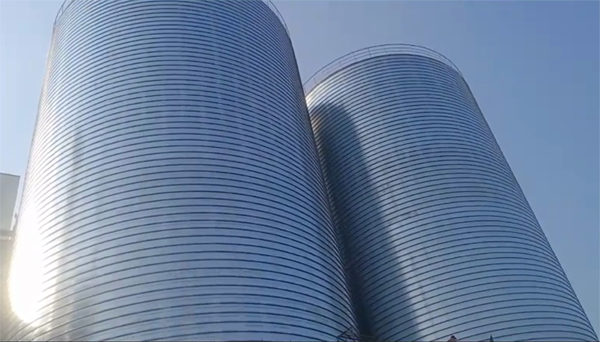 靖州2座混凝土高架卷板仓